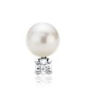 Freshwater Cultured Pearl and Diamond Earrings in 14k White Gold (7.0-7.5mm)